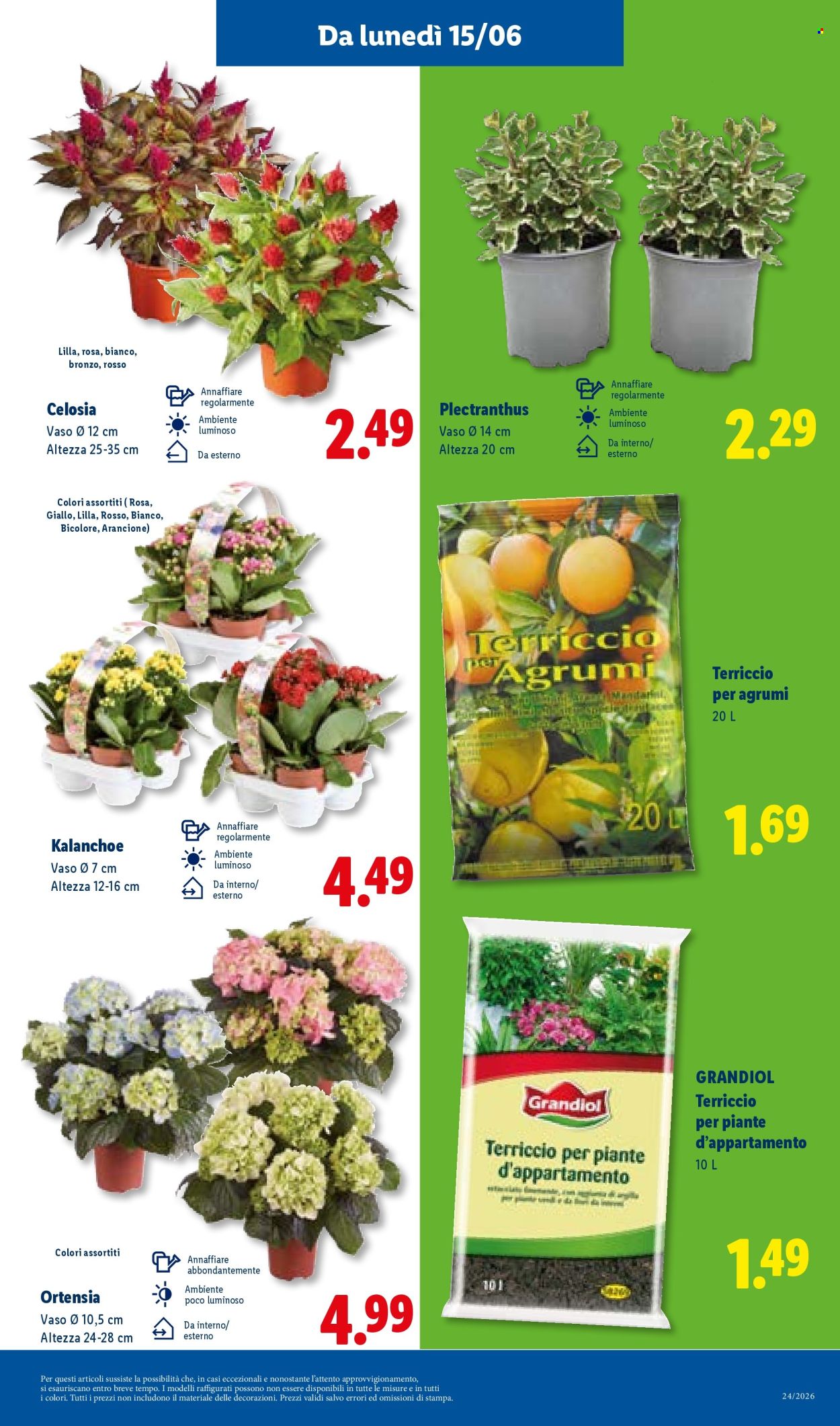 Volantino Lidl - 11/6/2026 - 17/6/2026. Pagina 43