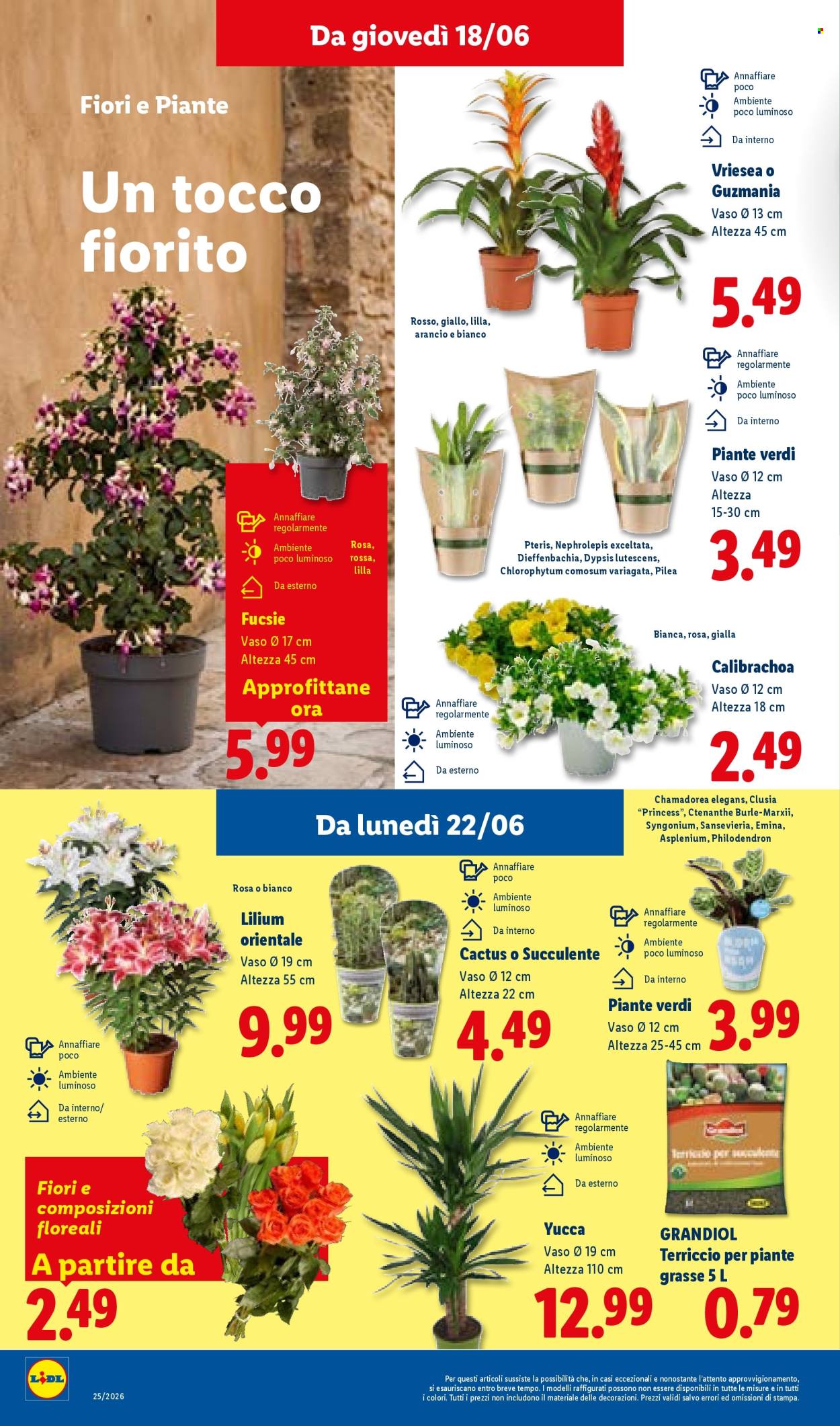 Volantino Lidl - 18/6/2026 - 24/6/2026. Pagina 32