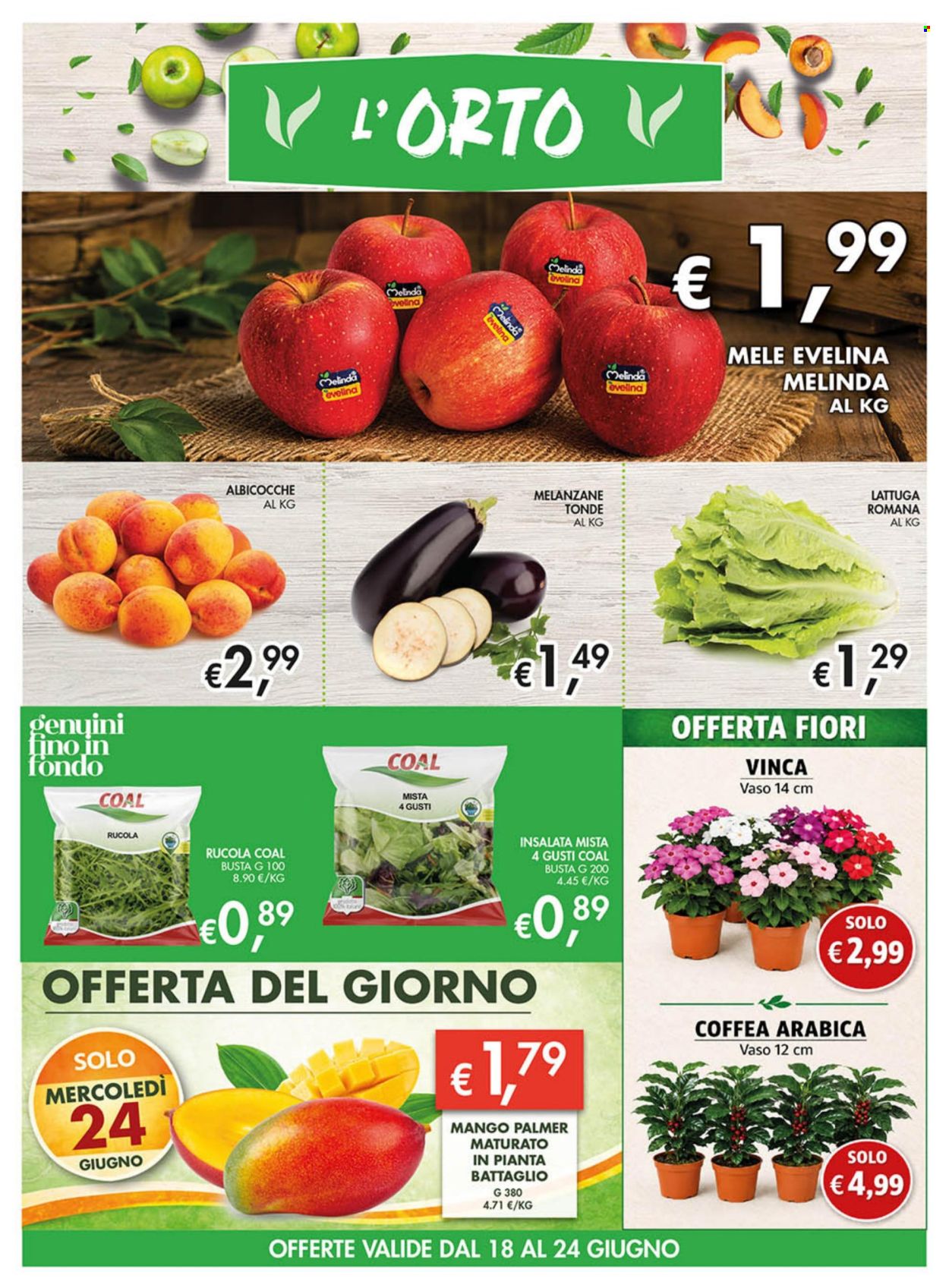 Volantino COAL - 18/6/2026 - 1/7/2026. Pagina 2