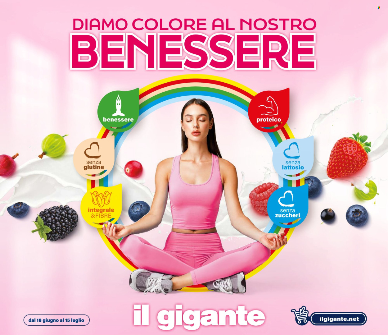 Volantino Il Gigante - 18/6/2026 - 15/7/2026. Pagina 1