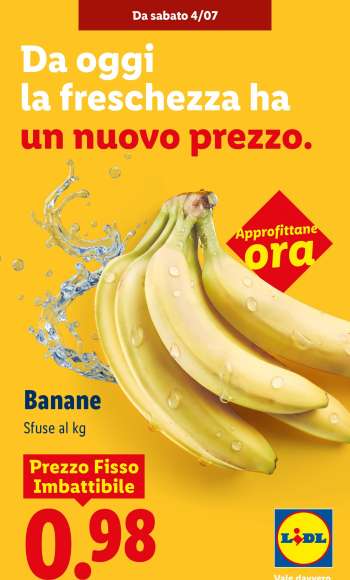 Volantino Lidl - 4/7/2026 - 4/7/2026.