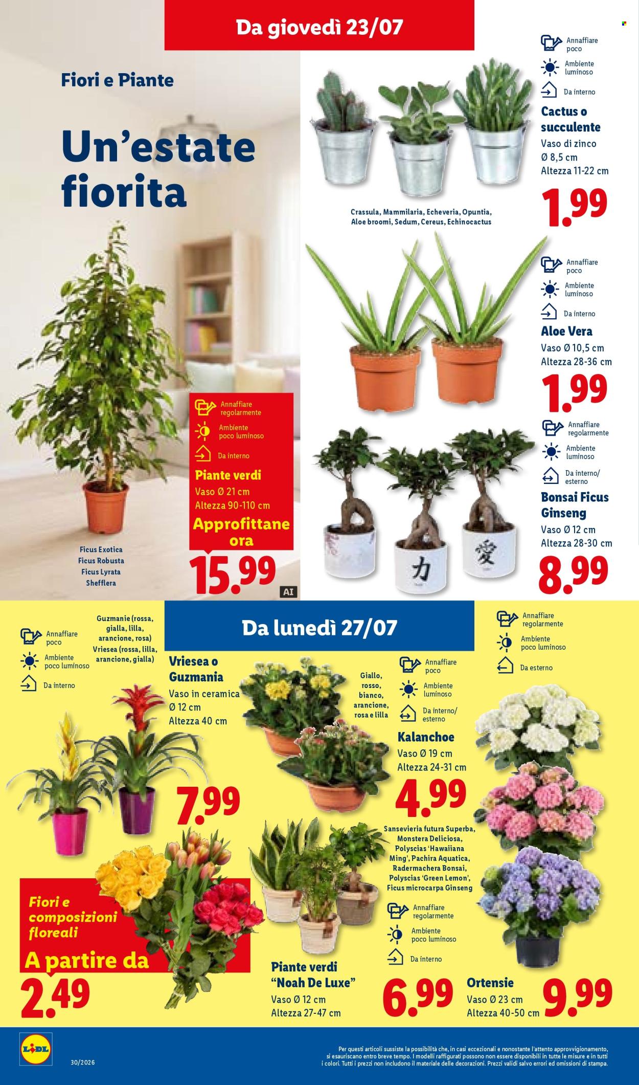 Volantino Lidl - 23/7/2026 - 29/7/2026. Pagina 34