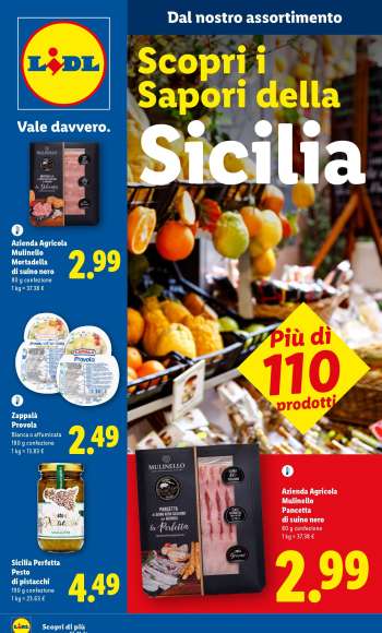 Volantino Lidl.
