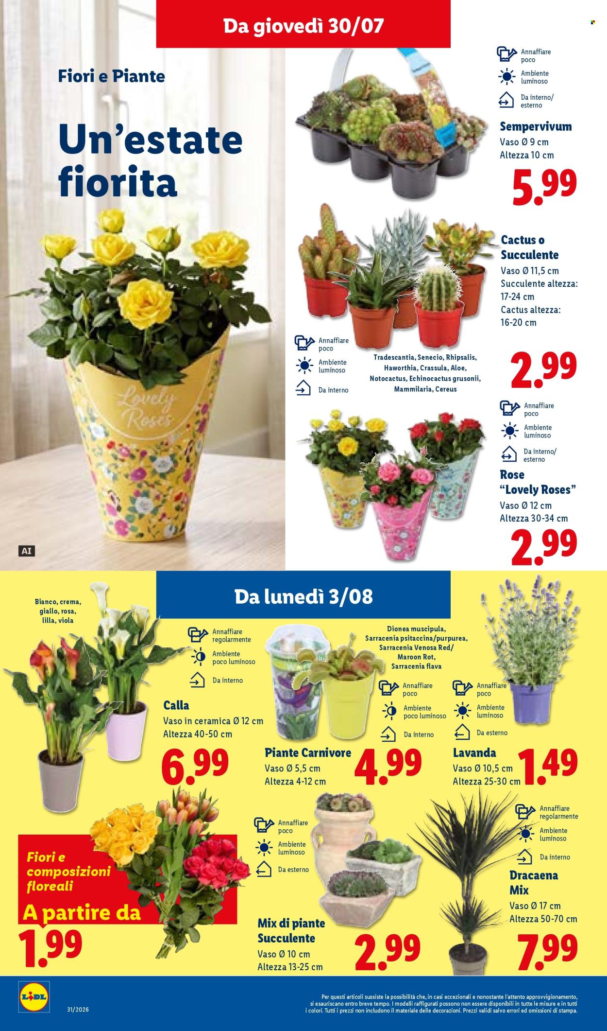 Volantino Lidl - 30/7/2026 - 5/8/2026. Pagina 30