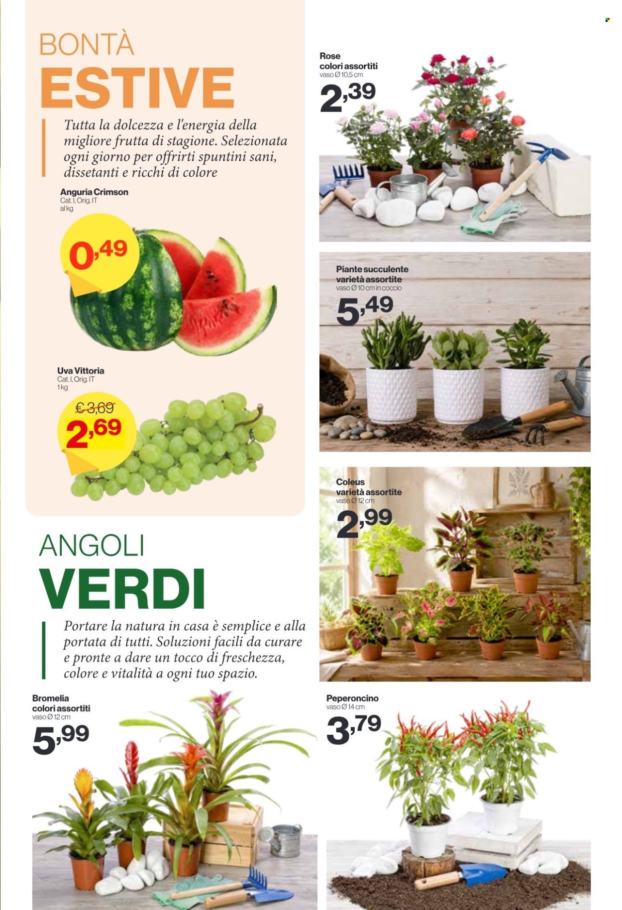 Volantino iN's Mercato - 29/7/2026 - 9/8/2026. Pagina 11