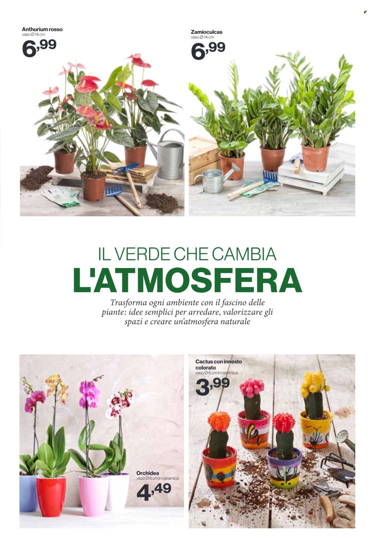 Volantino iN's Mercato - 12/8/2026 - 23/8/2026. Pagina 23