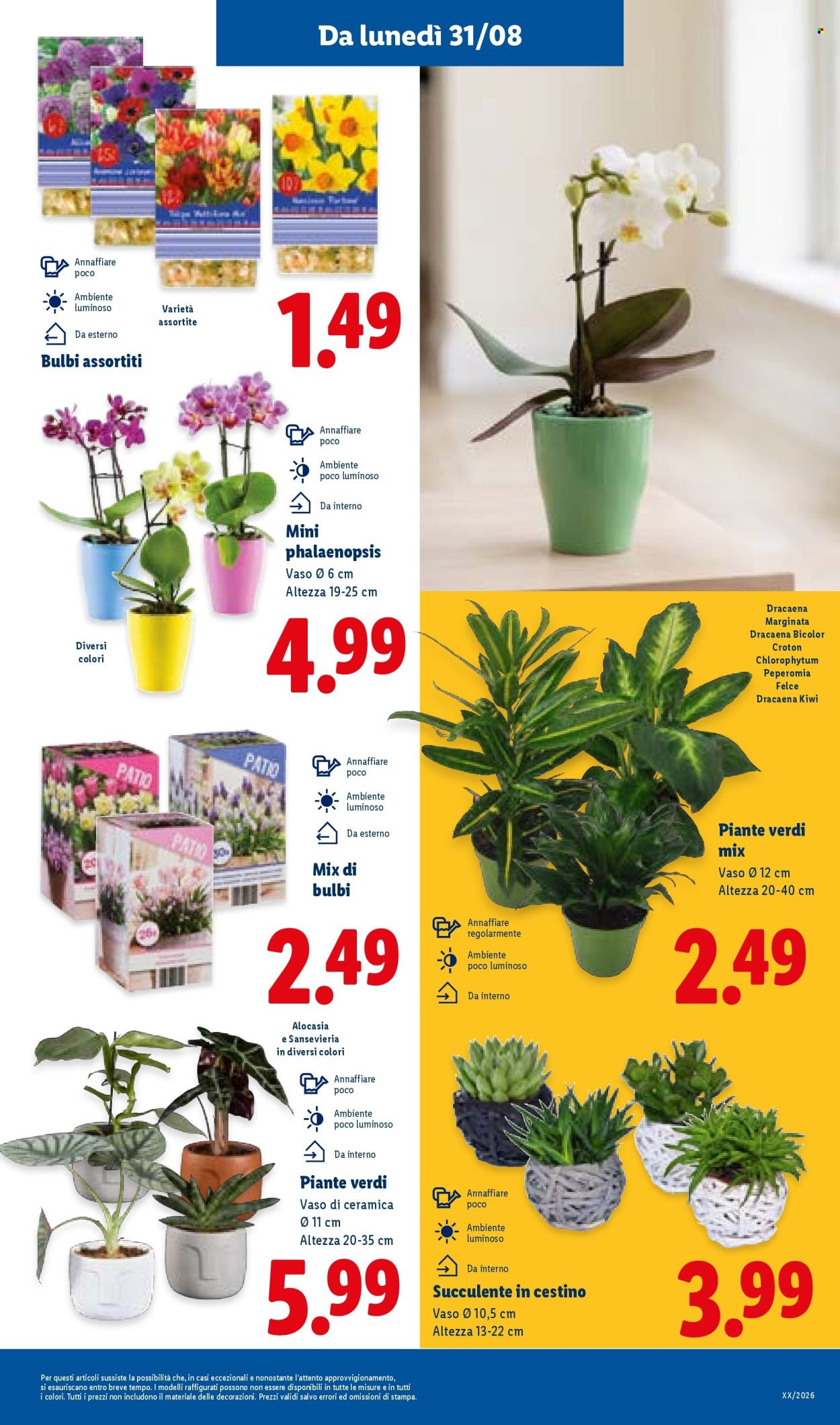 Volantino Lidl - 27/8/2026 - 2/9/2026. Pagina 33