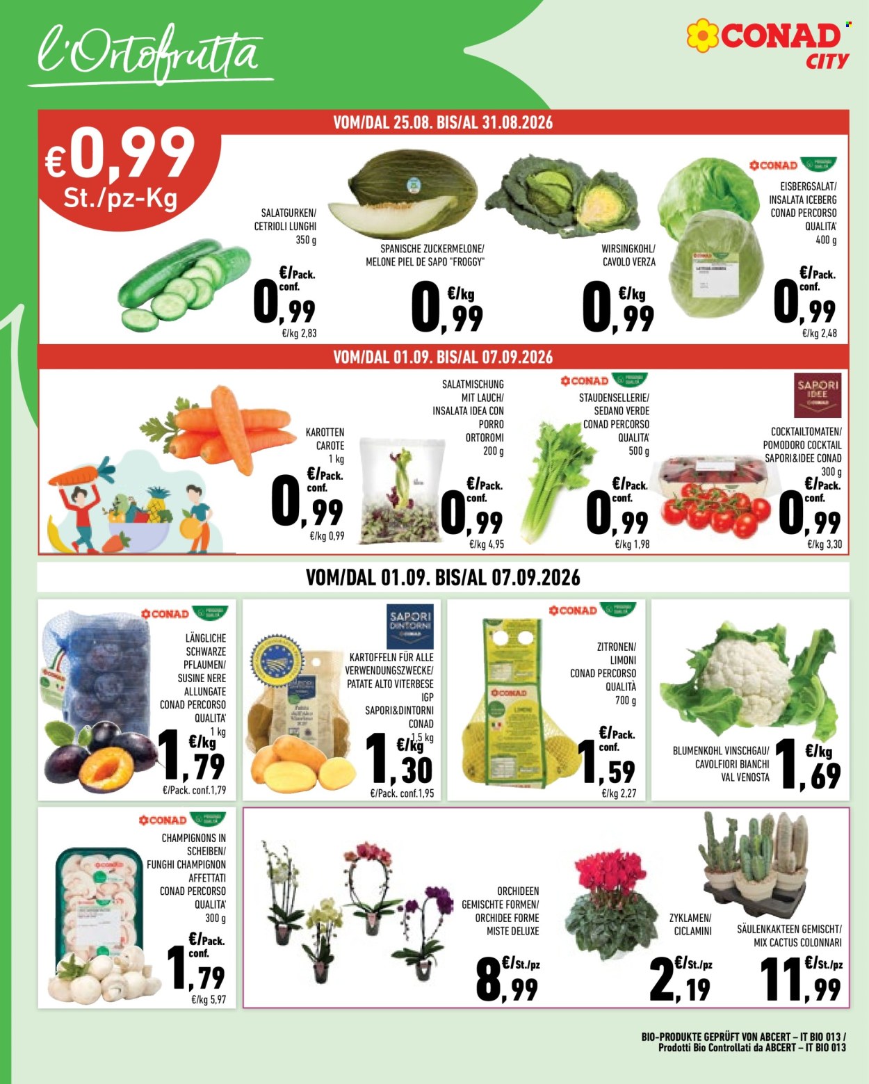 Volantino Conad City - 25/8/2026 - 7/9/2026. Pagina 6