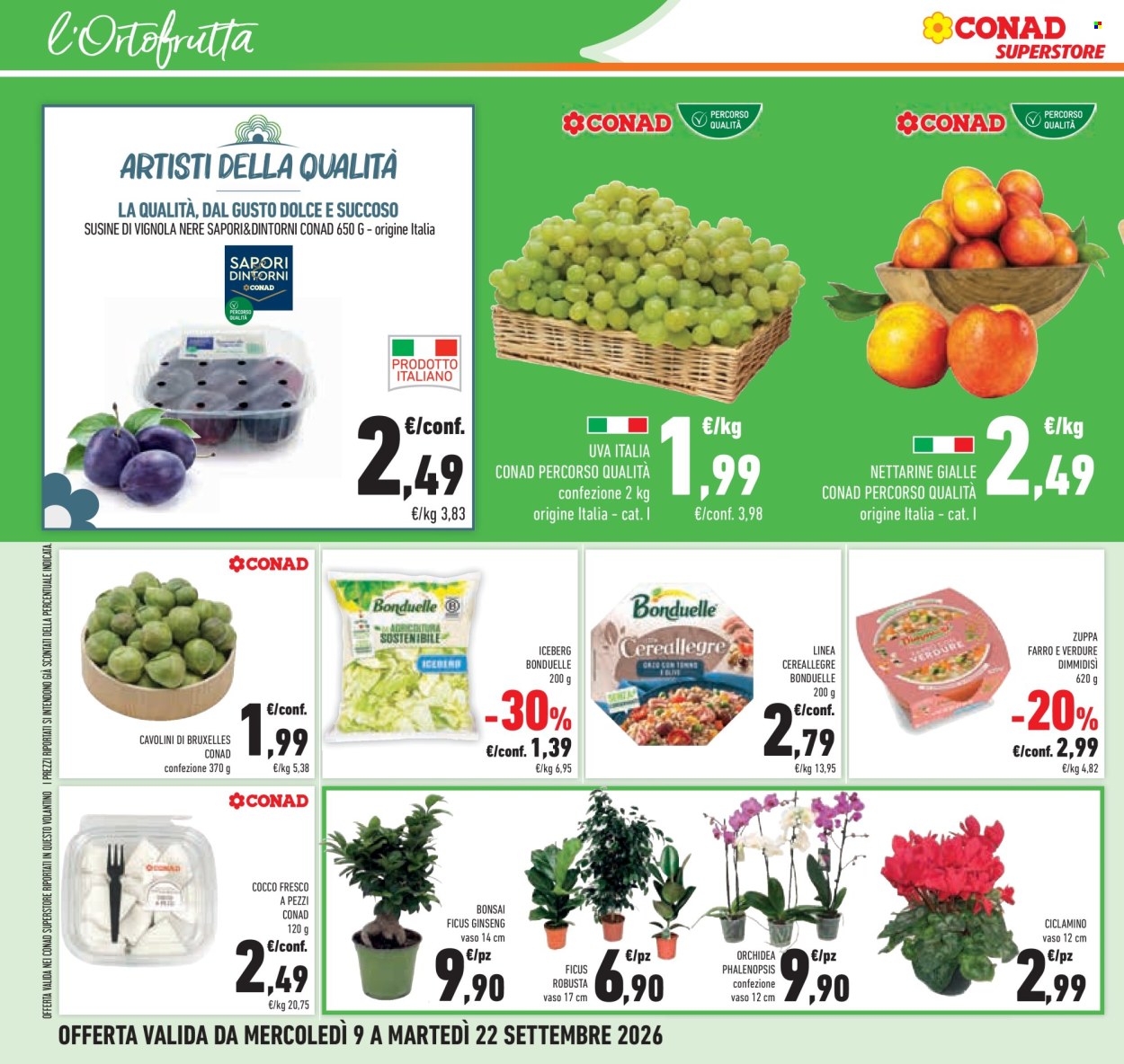 Volantino Conad Superstore - 23/9/2026 - 6/10/2026. Pagina 28