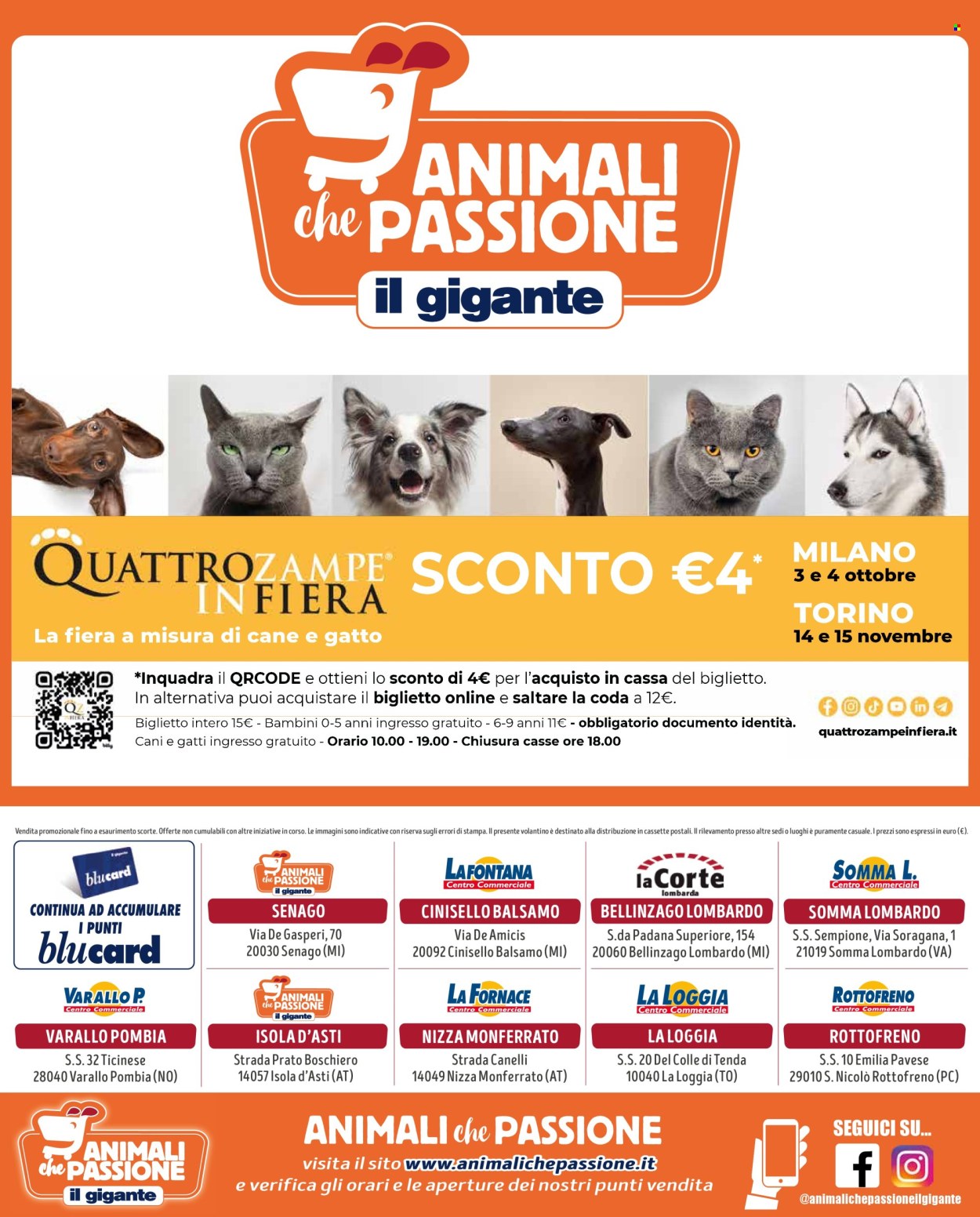 Volantino Il Gigante - 10/9/2026 - 11/10/2026. Pagina 8