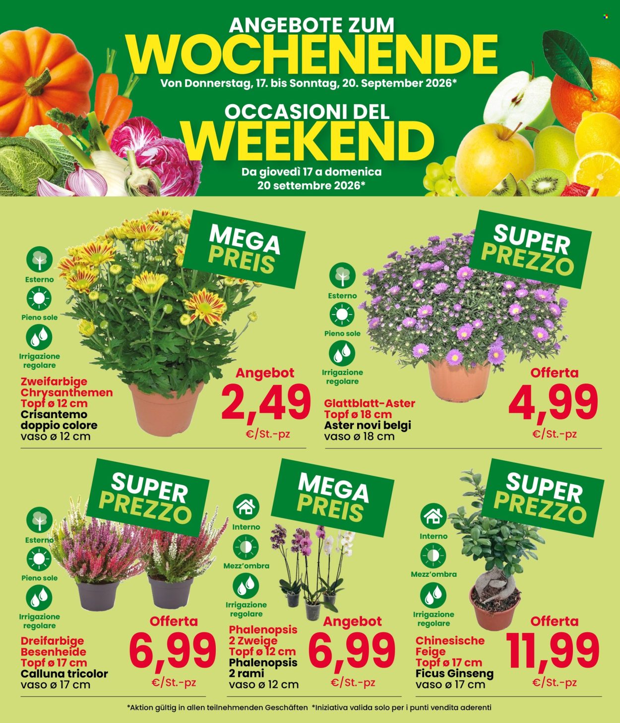 Volantino Eurospar - 17/9/2026 - 20/9/2026. Pagina 3