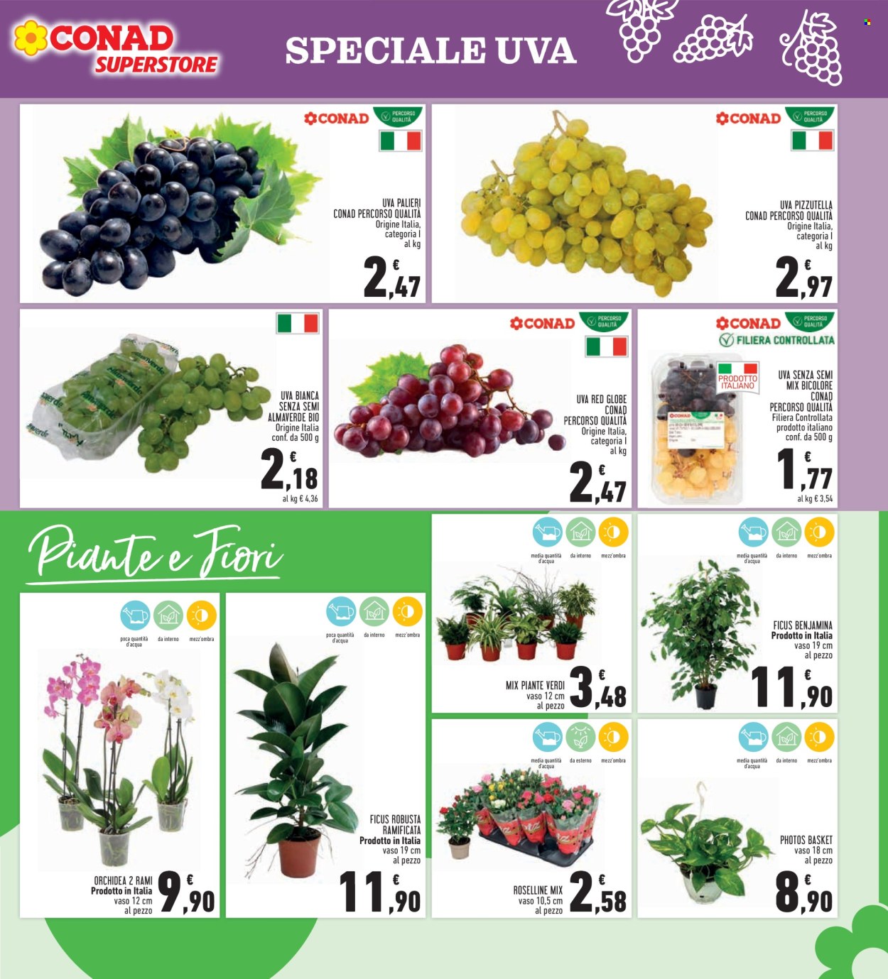 Volantino Conad Superstore - 24/9/2026 - 7/10/2026. Pagina 11