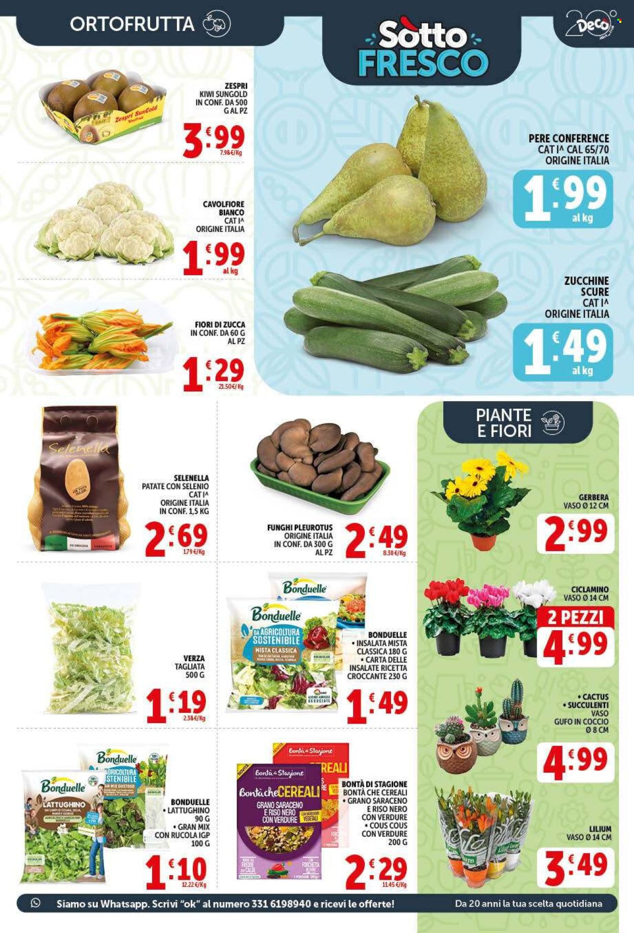 Volantino Deco - 2/10/2026 - 12/10/2026. Pagina 13