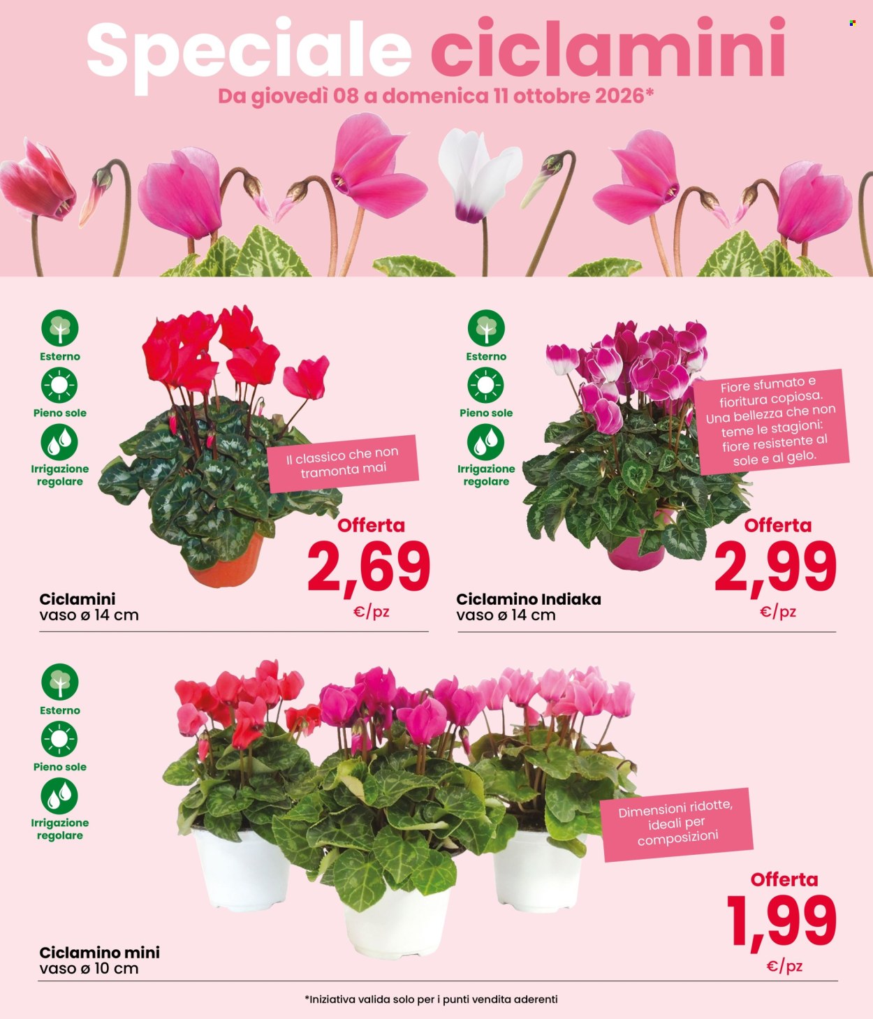 Volantino Interspar - 8/10/2026 - 11/10/2026. Pagina 3