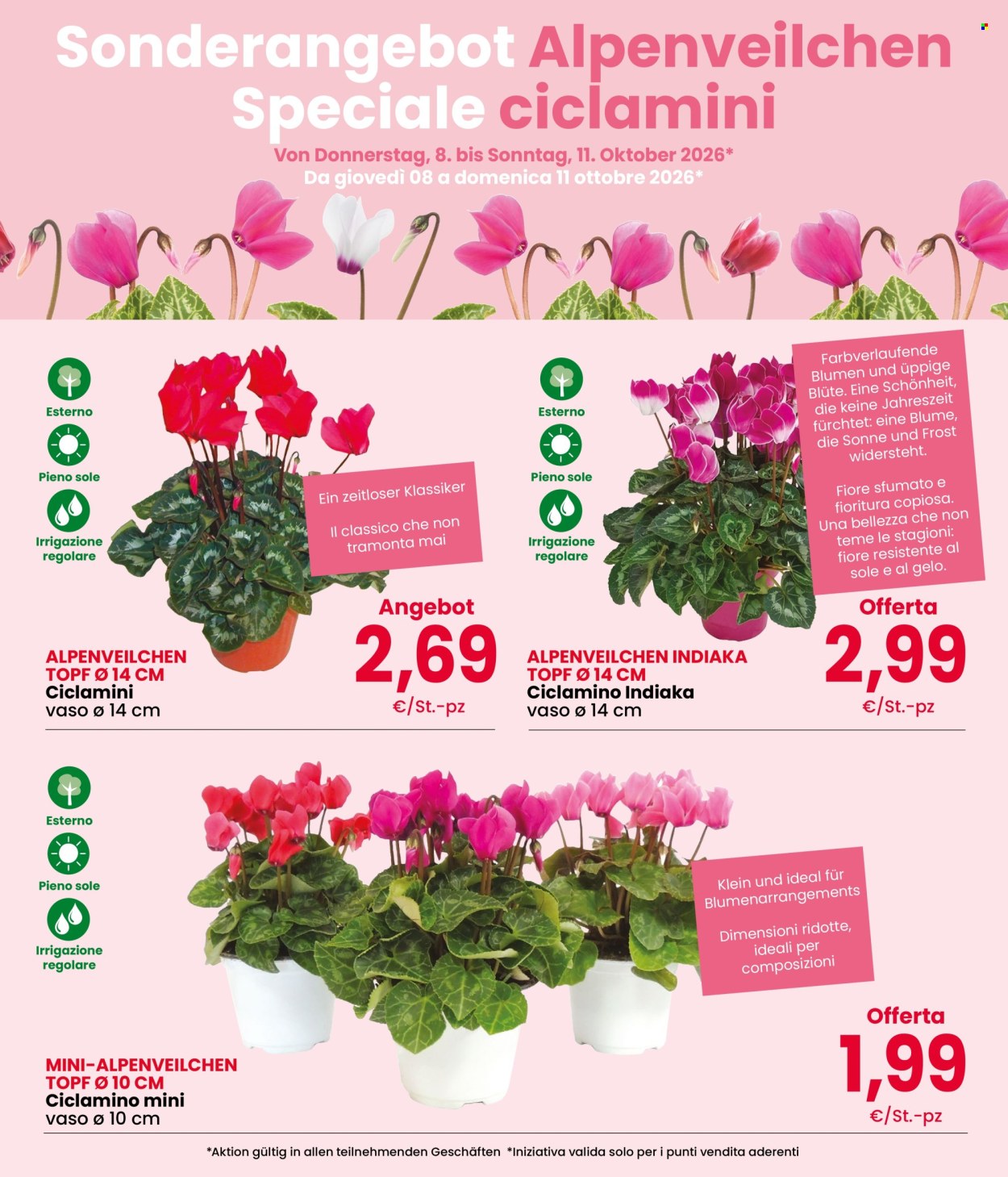 Volantino Interspar - 8/10/2026 - 11/10/2026. Pagina 3