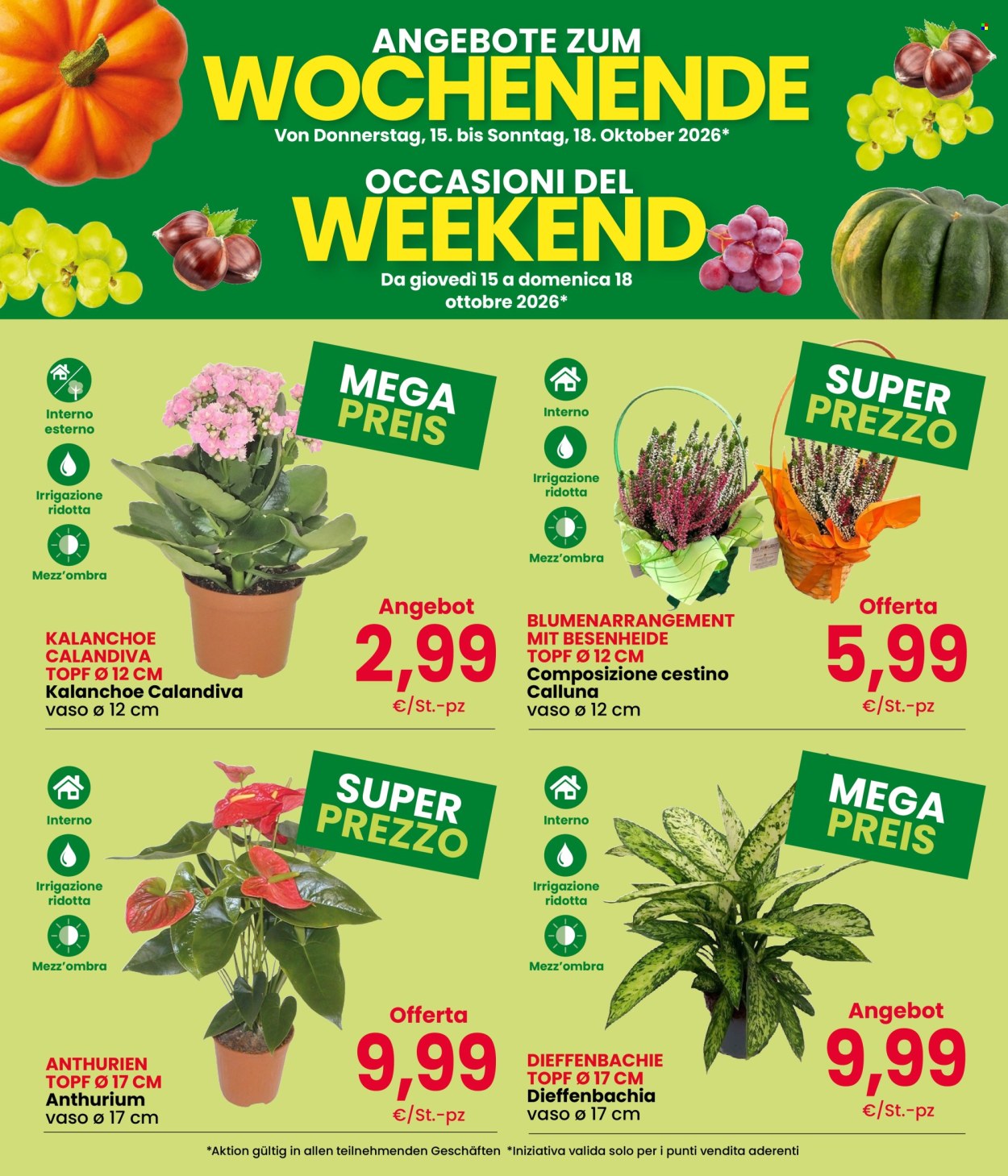 Volantino Eurospar - 15/10/2026 - 18/10/2026. Pagina 3