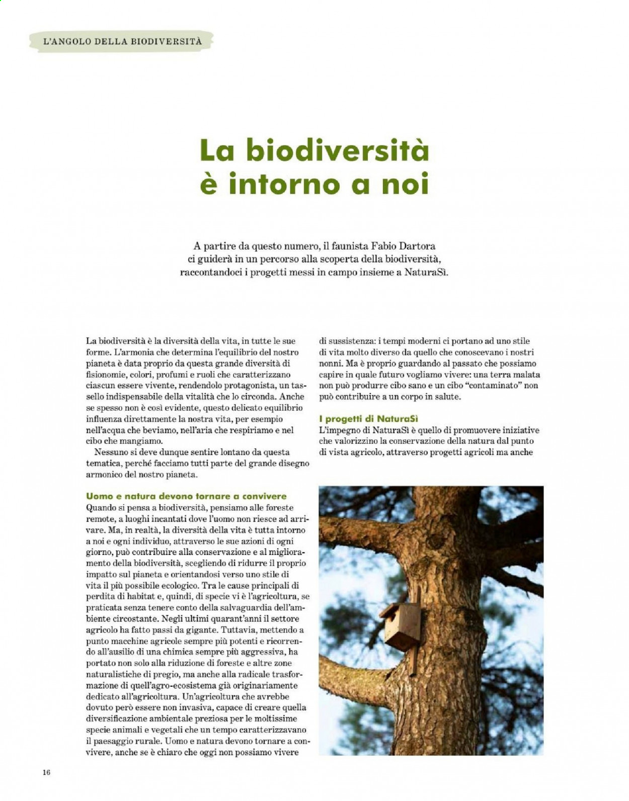 thumbnail - Volantino Natura Sì - 1/1/2021 - 28/2/2021.