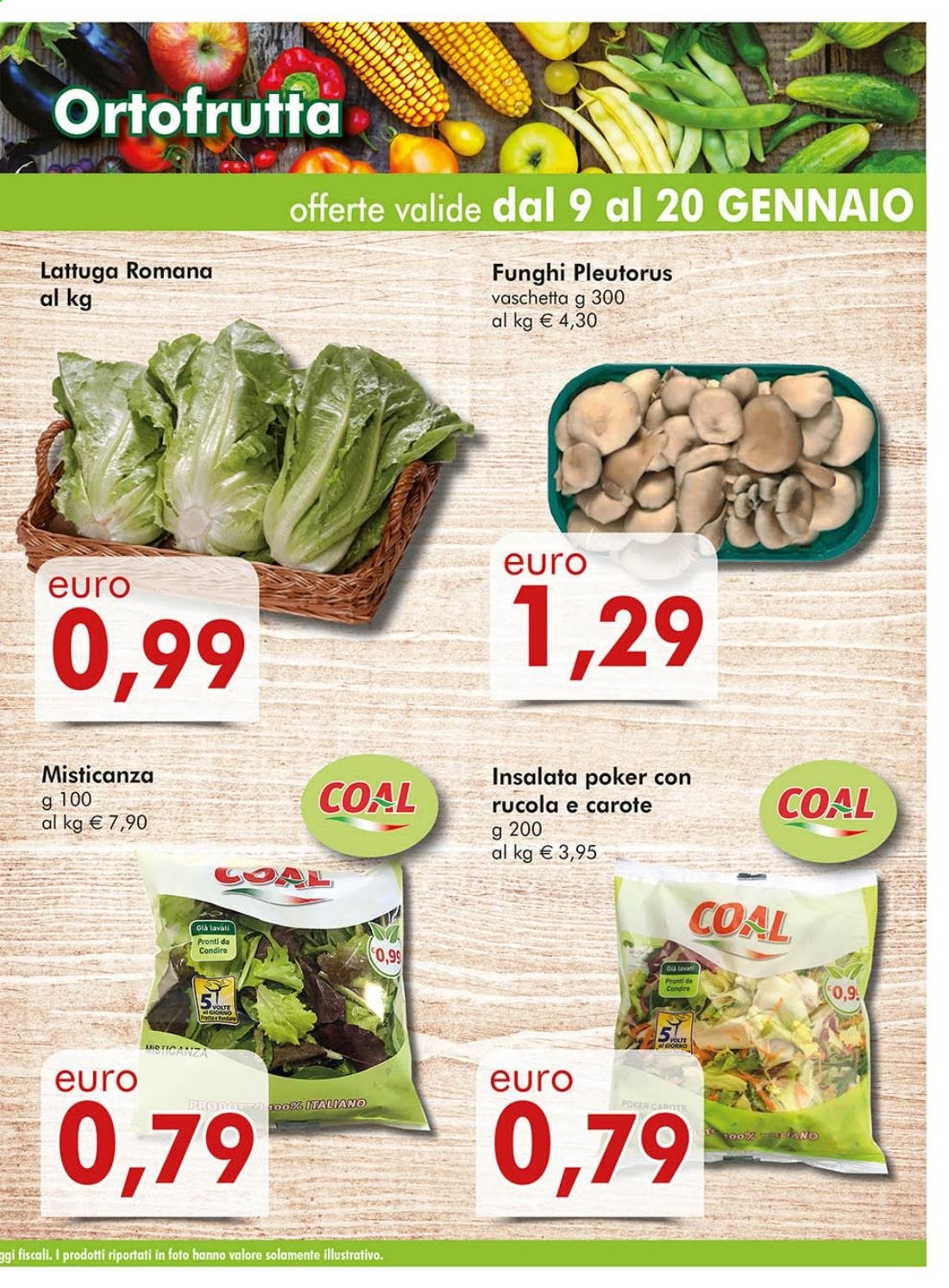 Volantino COAL - 9/1/2021 - 20/1/2021. Pagina 3