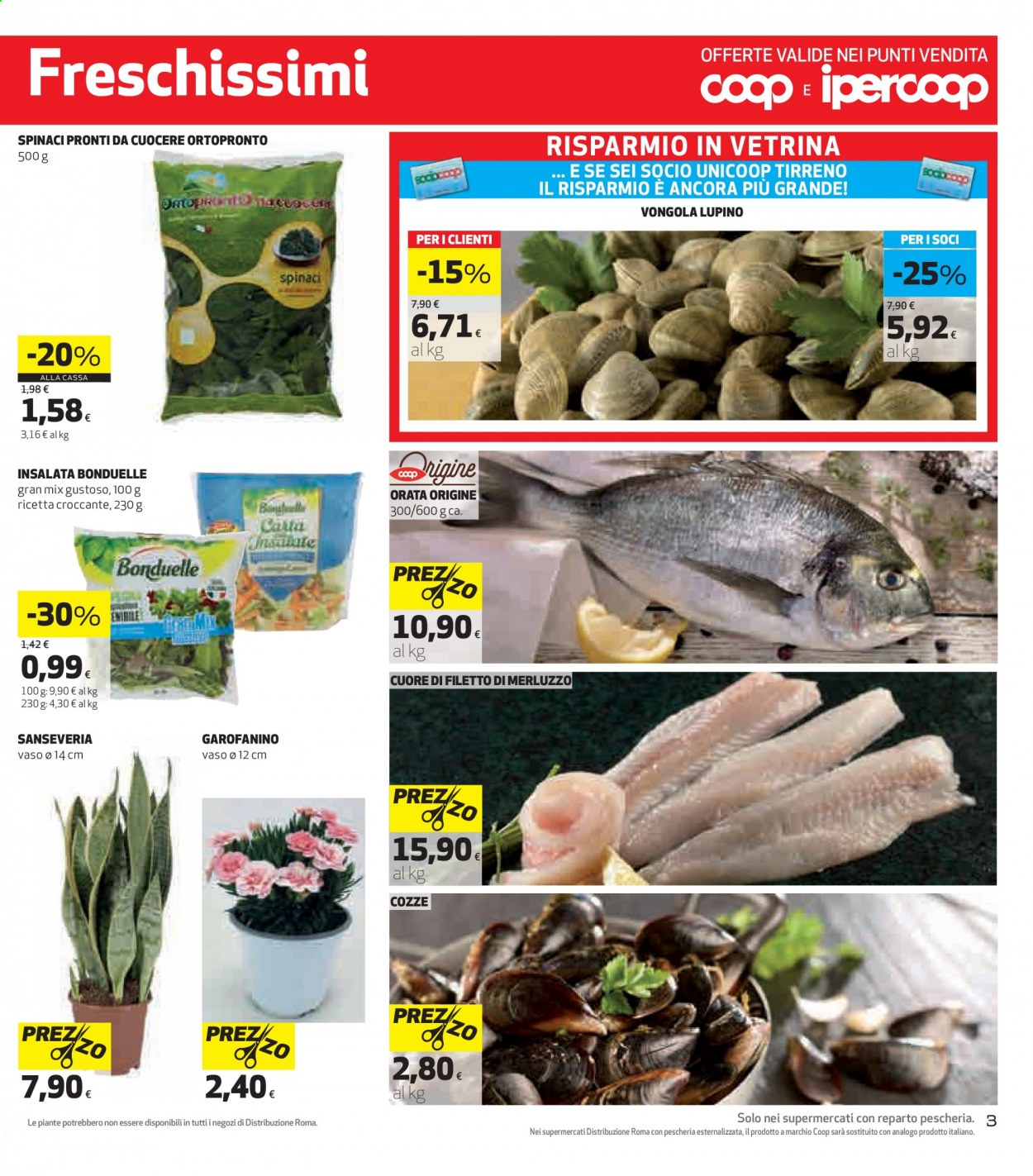 Volantino Coop - 14/1/2021 - 27/1/2021. Pagina 3