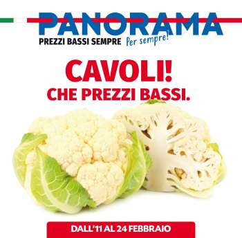 Volantino Panorama - 11.2.2021 - 24.2.2021.