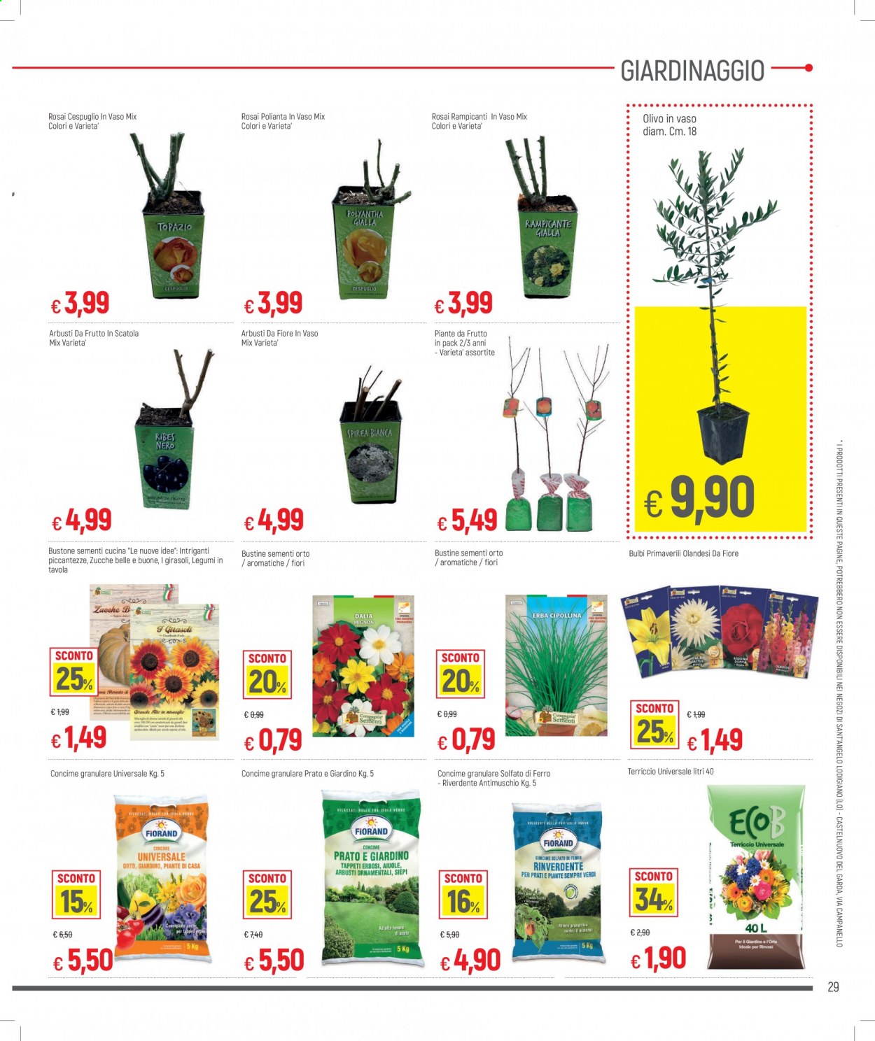 Volantino Famila - 25/2/2021 - 28/2/2021. Pagina 29