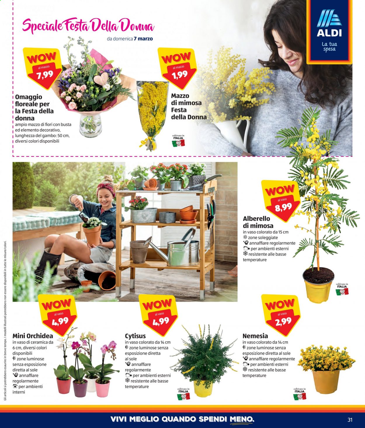 Volantino Aldi - 1/3/2021 - 7/3/2021. Pagina 31