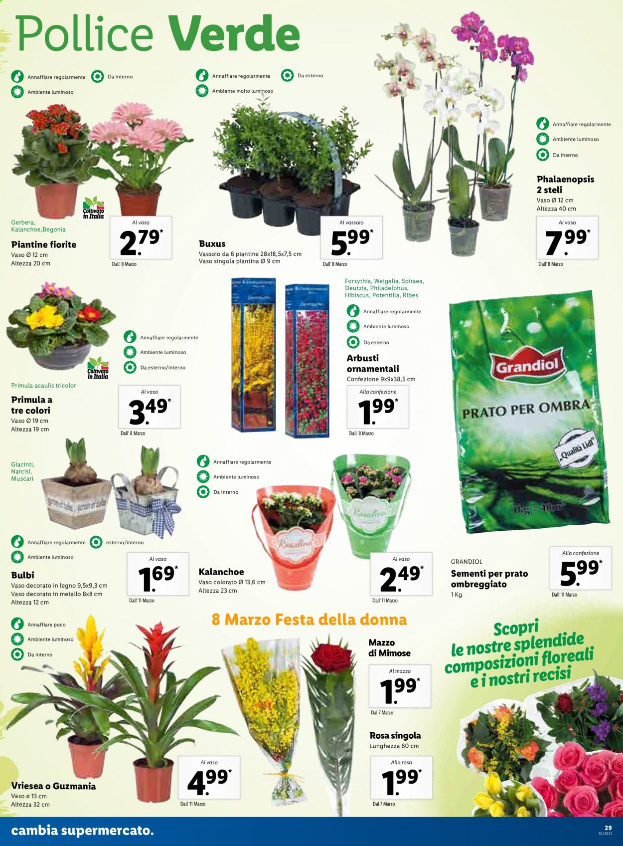 Volantino Lidl - 8/3/2021 - 14/3/2021. Pagina 29