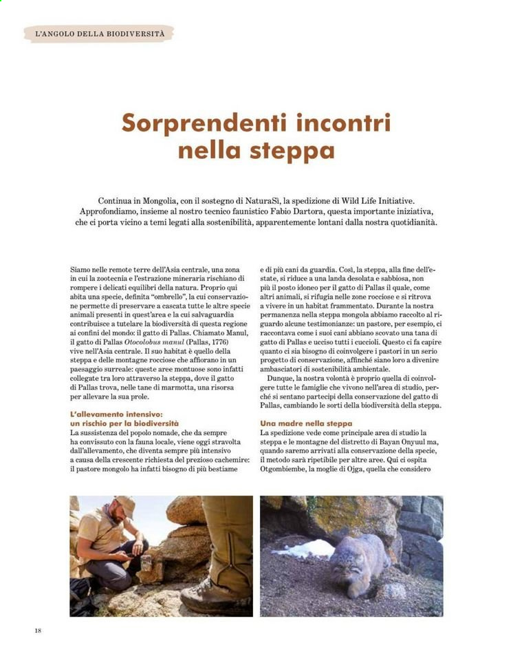 thumbnail - Volantino Natura Sì - 1/3/2021 - 30/4/2021 - Prodotti in offerta - gatto. Pagina 18.