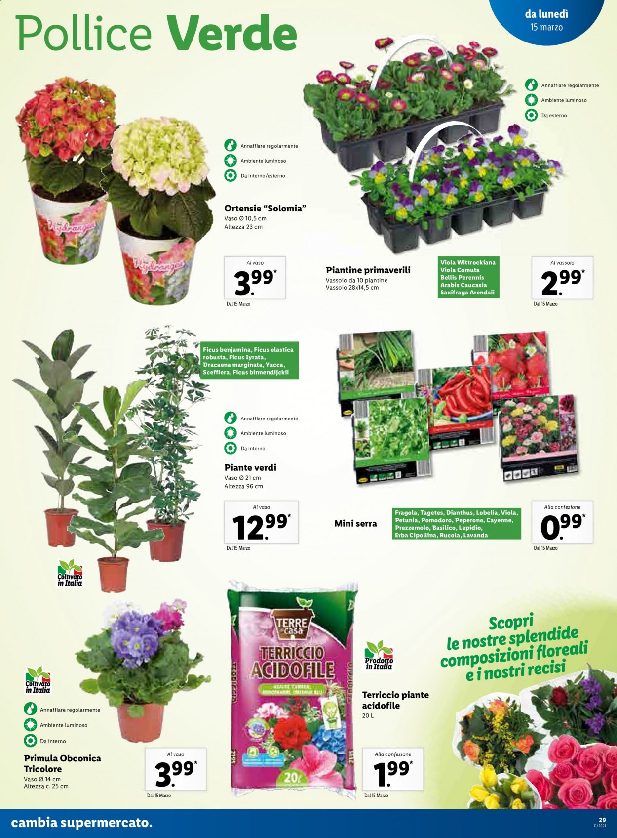 Volantino Lidl - 15/3/2021 - 21/3/2021. Pagina 29
