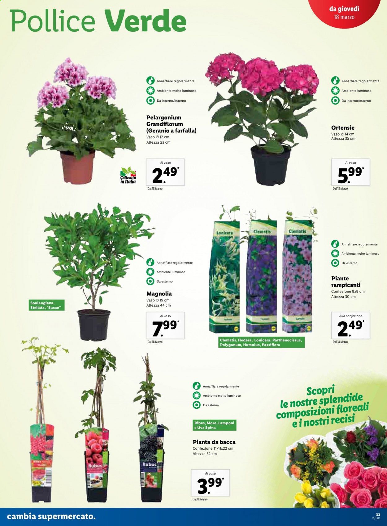 Volantino Lidl - 15/3/2021 - 21/3/2021. Pagina 33