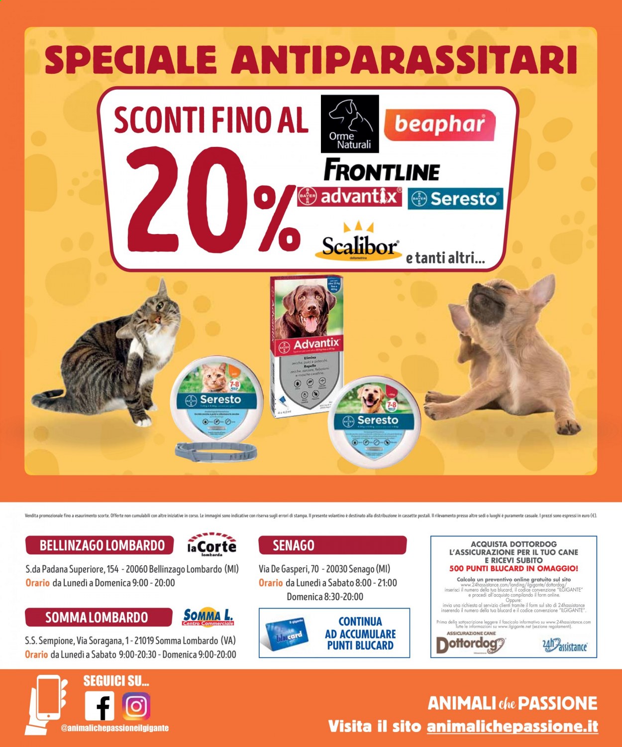Volantino Il Gigante - 15/3/2021 - 11/4/2021. Pagina 8