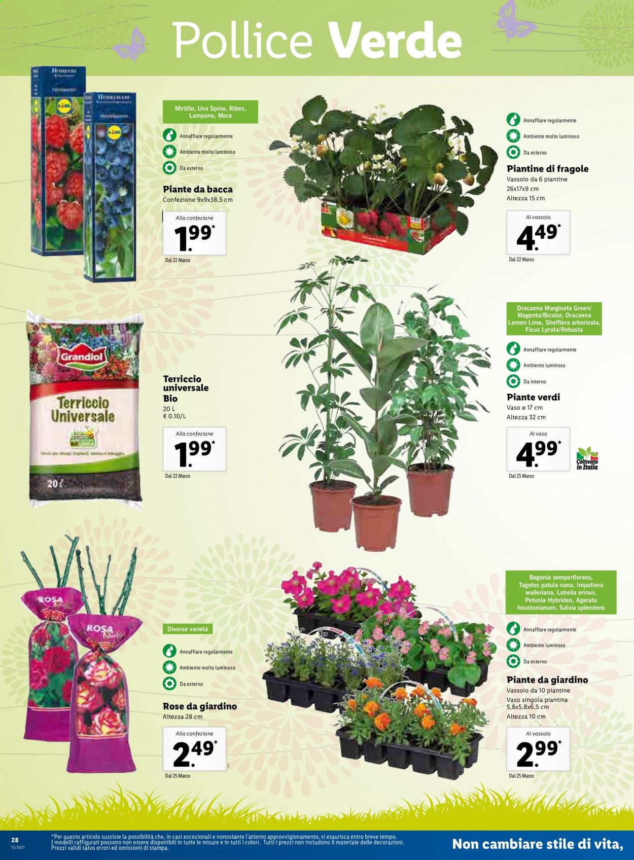 Volantino Lidl - 22/3/2021 - 28/3/2021. Pagina 28