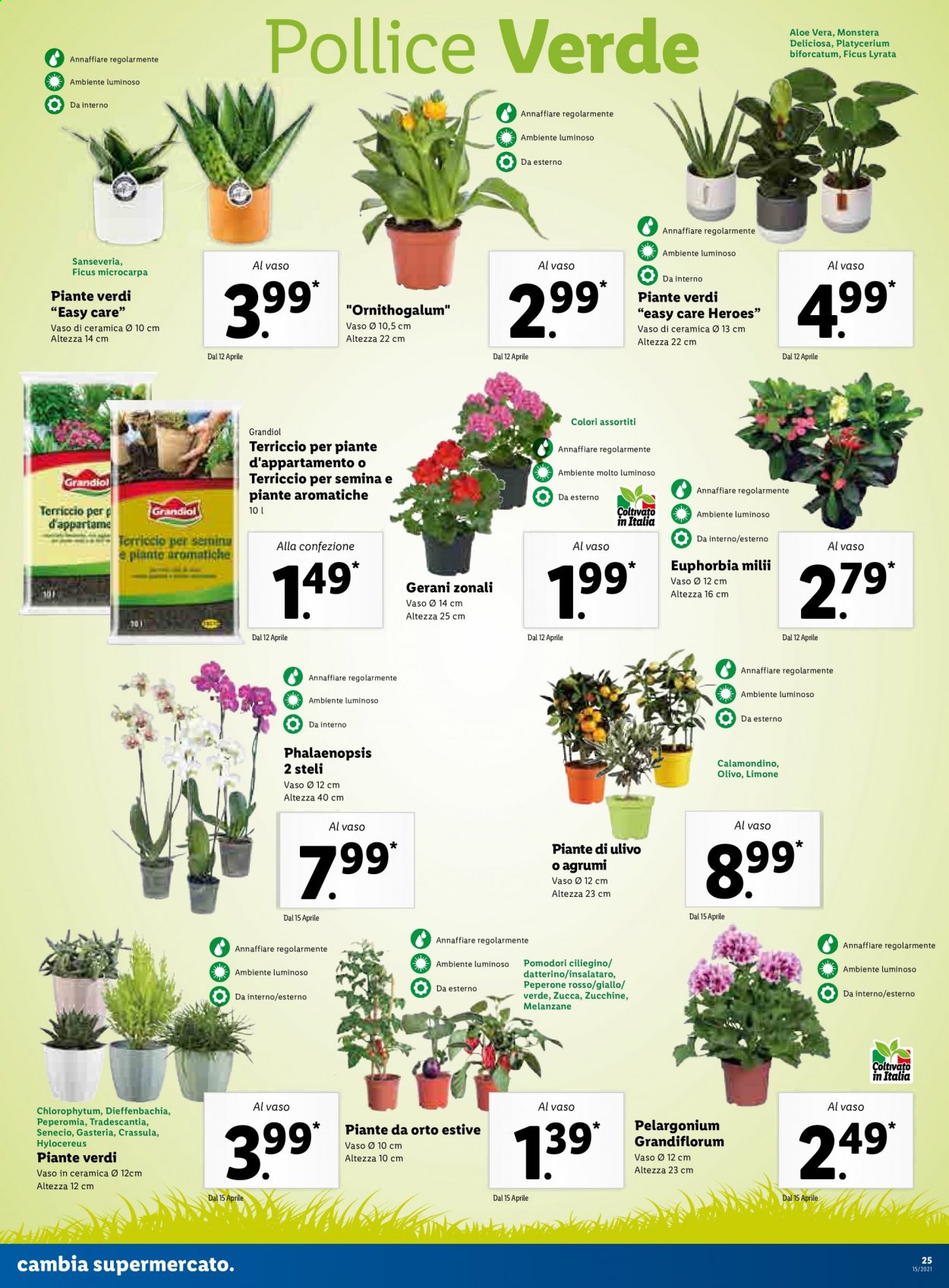 Volantino Lidl - 12/4/2021 - 18/4/2021. Pagina 25