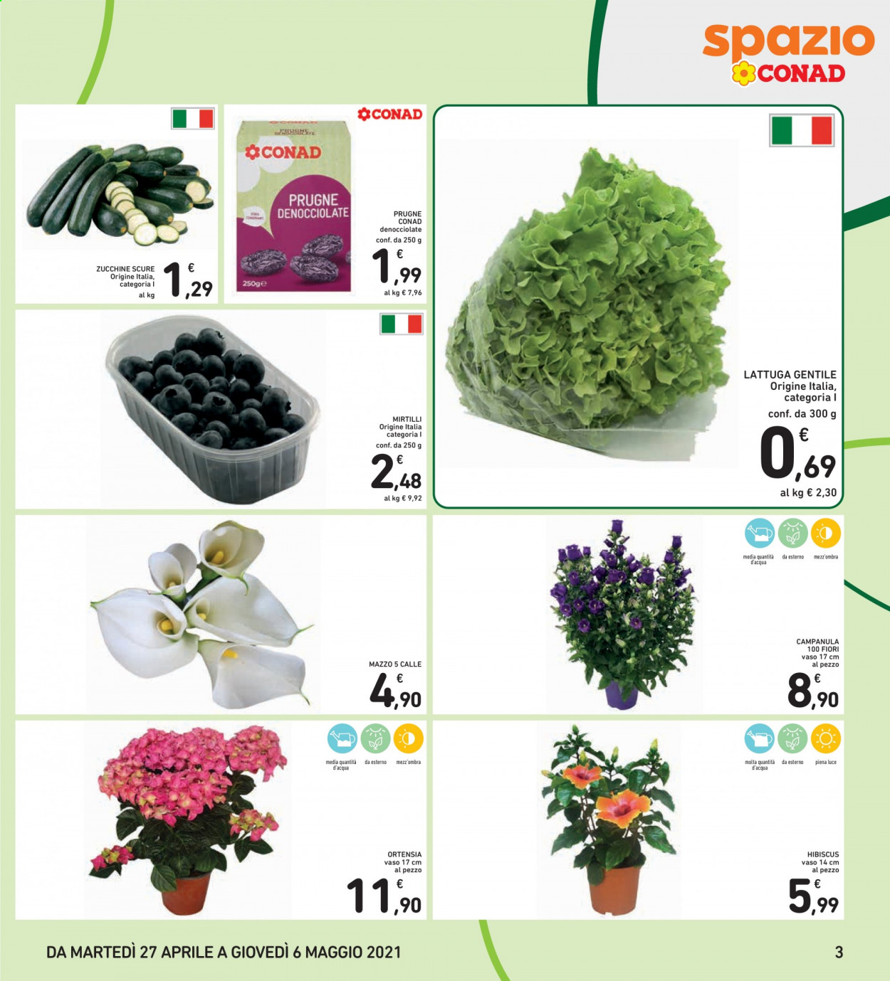 thumbnail - Volantino Conad - 27/4/2021 - 6/5/2021 - Prodotti in offerta - zucchine, lattuga, prugne, mirtilli, vaso, luce. Pagina 3.