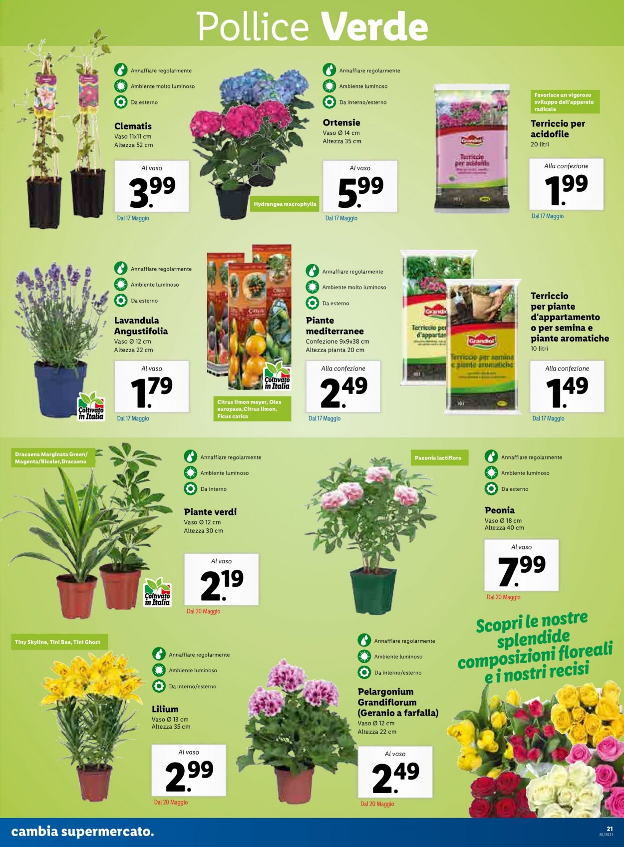 Volantino Lidl - 17/5/2021 - 23/5/2021. Pagina 21