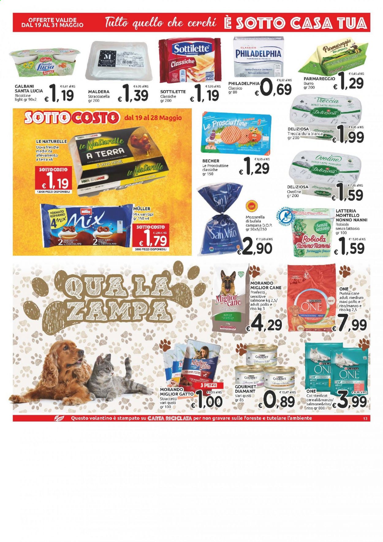 Volantino Carrefour - 19/5/2021 - 28/5/2021. Pagina 13