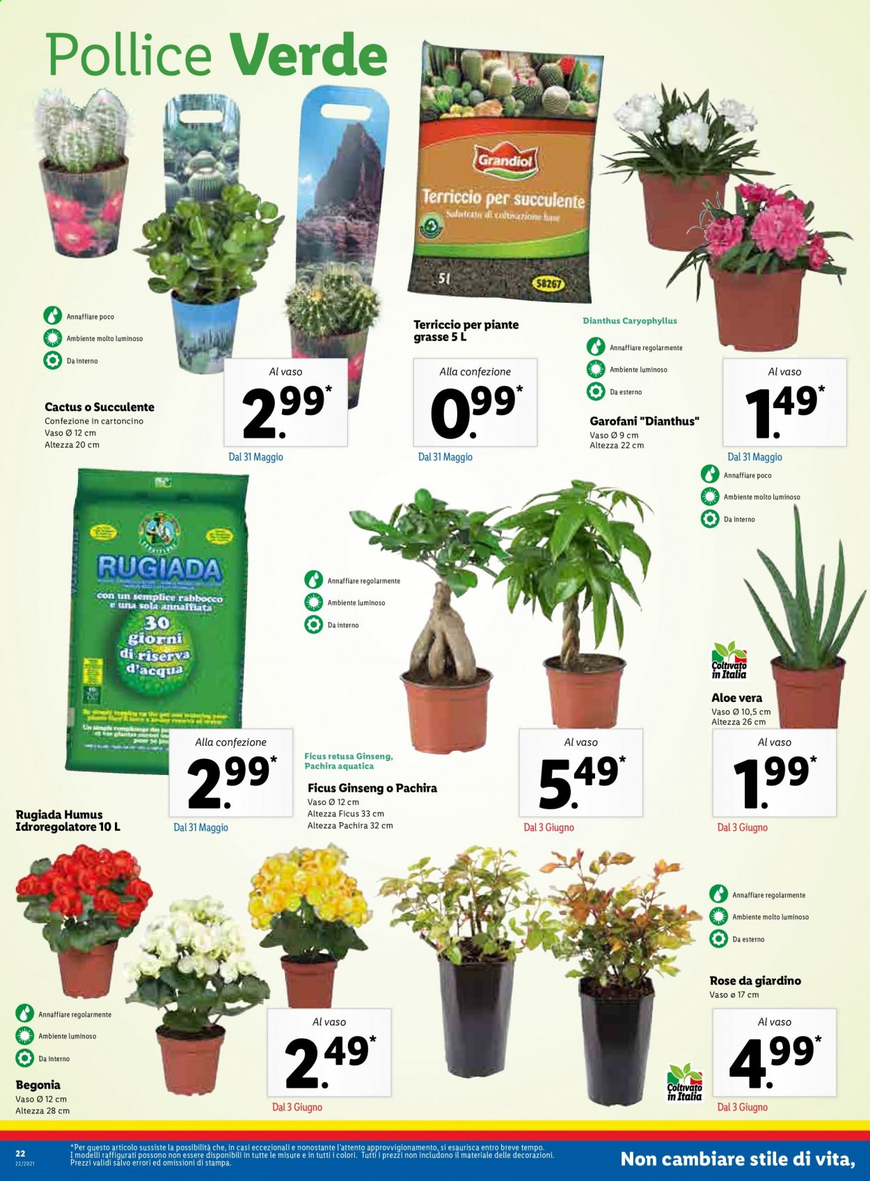 Volantino Lidl - 31/5/2021 - 6/6/2021. Pagina 22