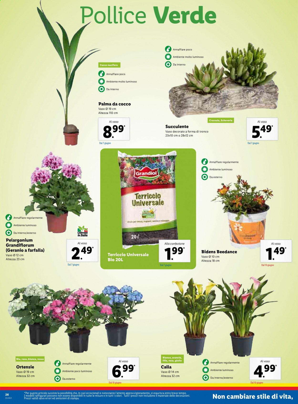 Volantino Lidl - 7/6/2021 - 13/6/2021. Pagina 26