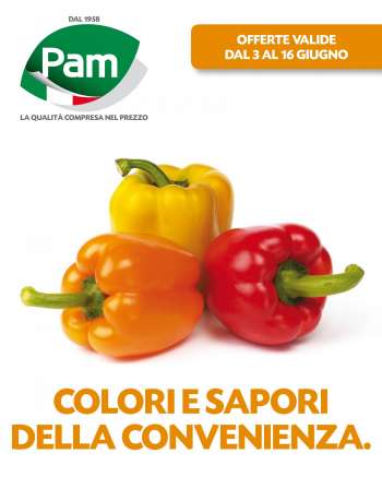Volantino Pam Panorama - 3.6.2021 - 16.6.2021.