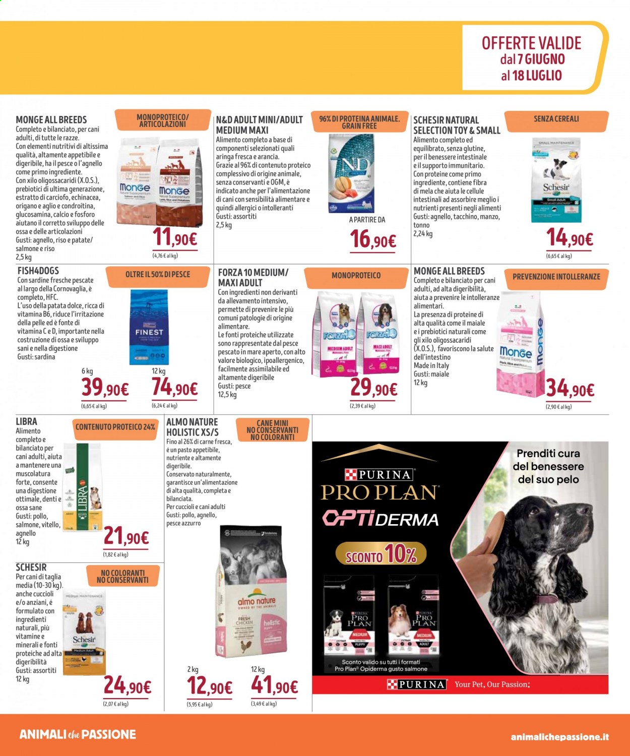 Volantino Il Gigante. Pagina 3