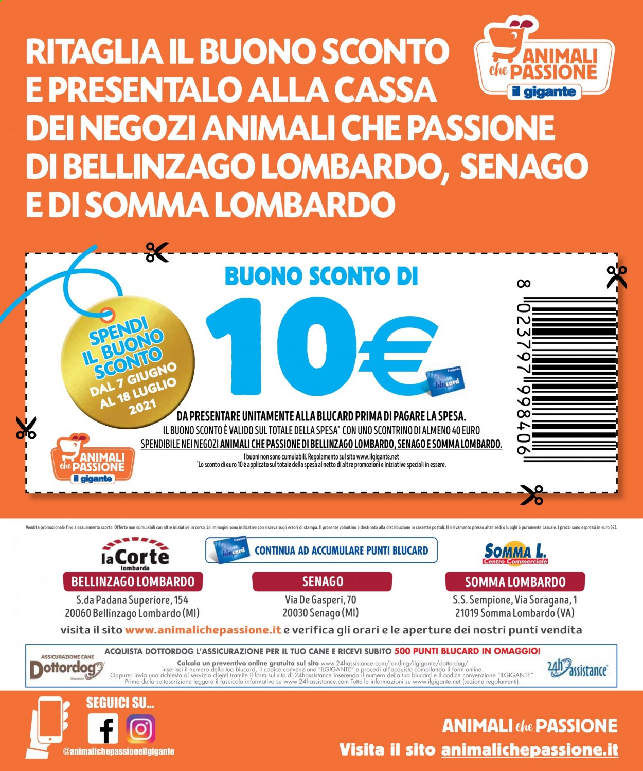Volantino Il Gigante. Pagina 8