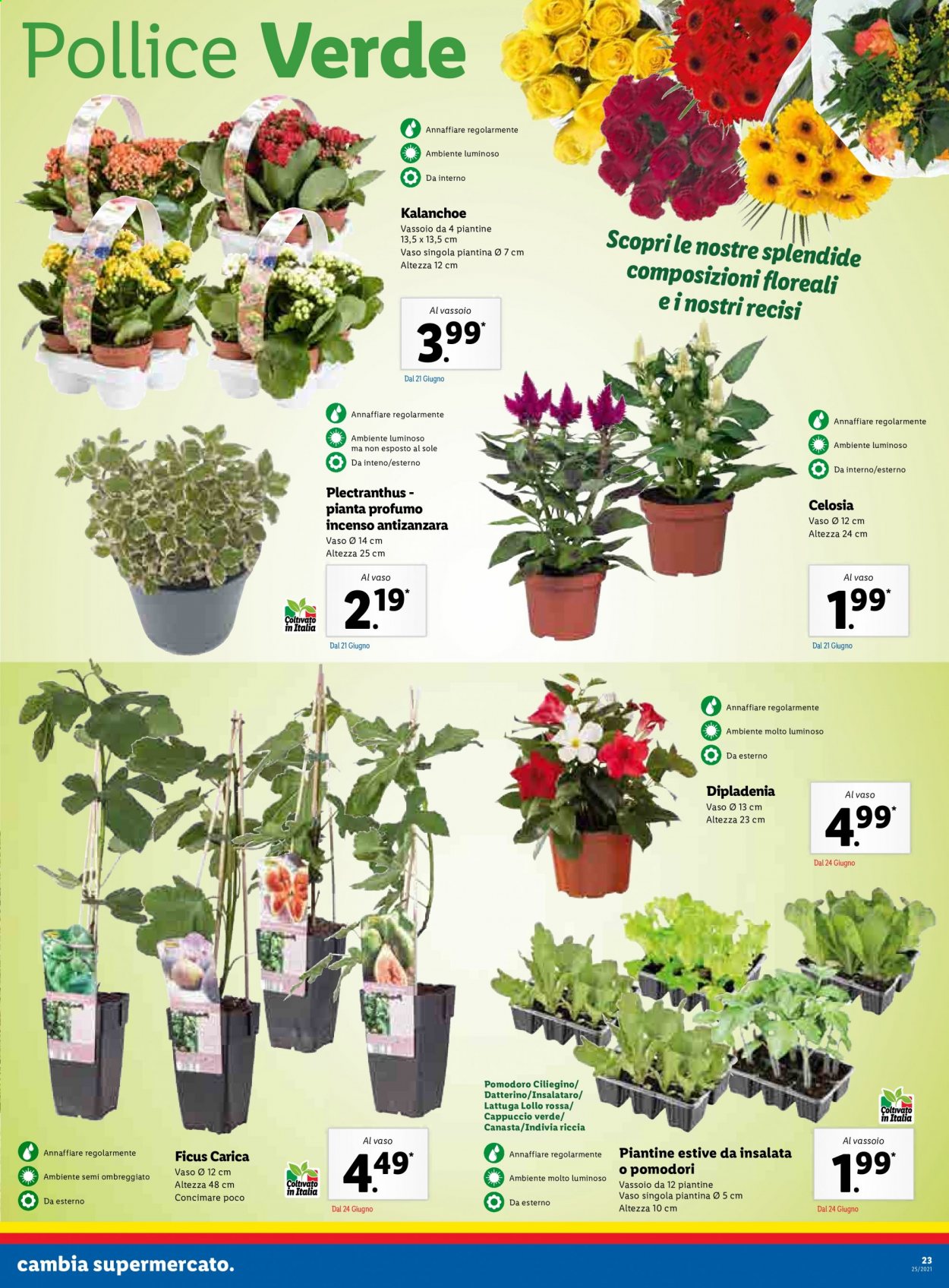 Volantino Lidl - 21/6/2021 - 27/6/2021. Pagina 23