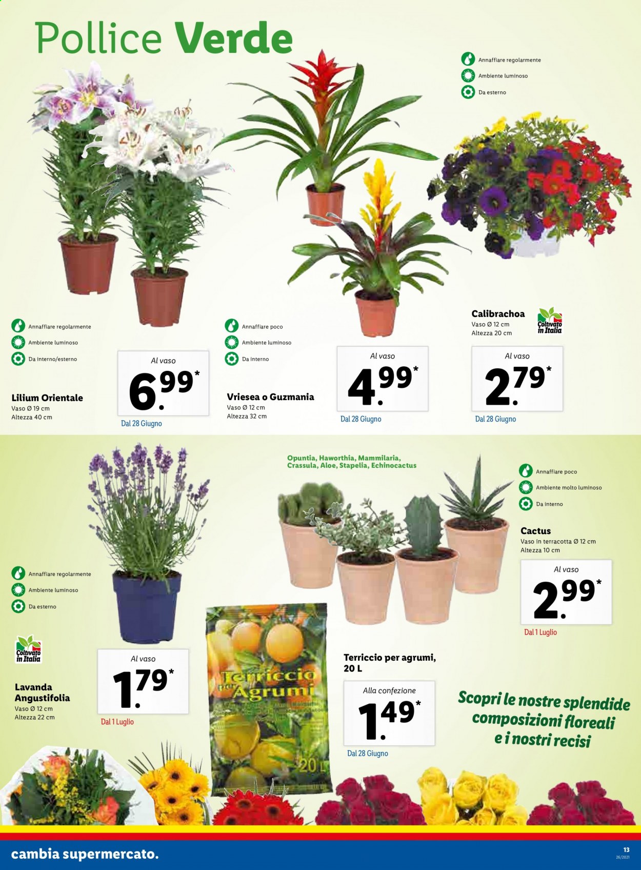 Volantino Lidl - 28/6/2021 - 4/7/2021. Pagina 13