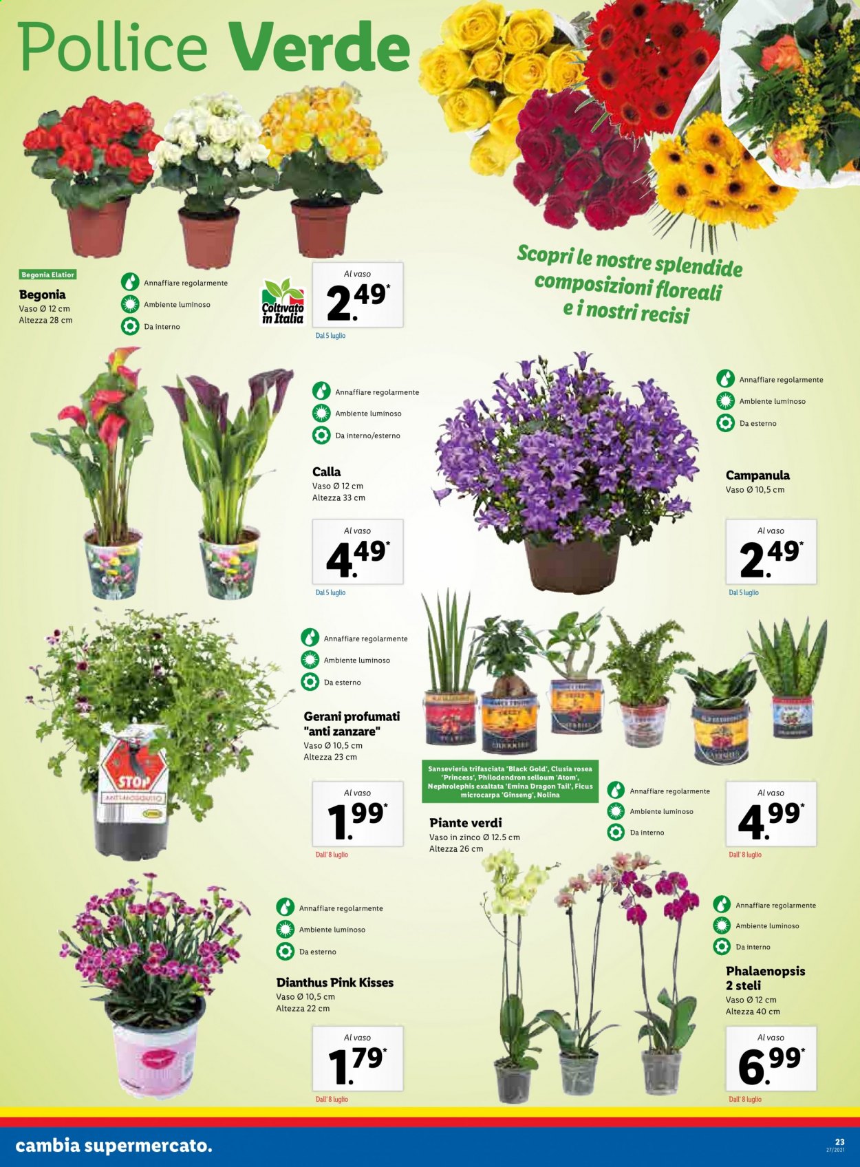 Volantino Lidl - 5/7/2021 - 11/7/2021. Pagina 23