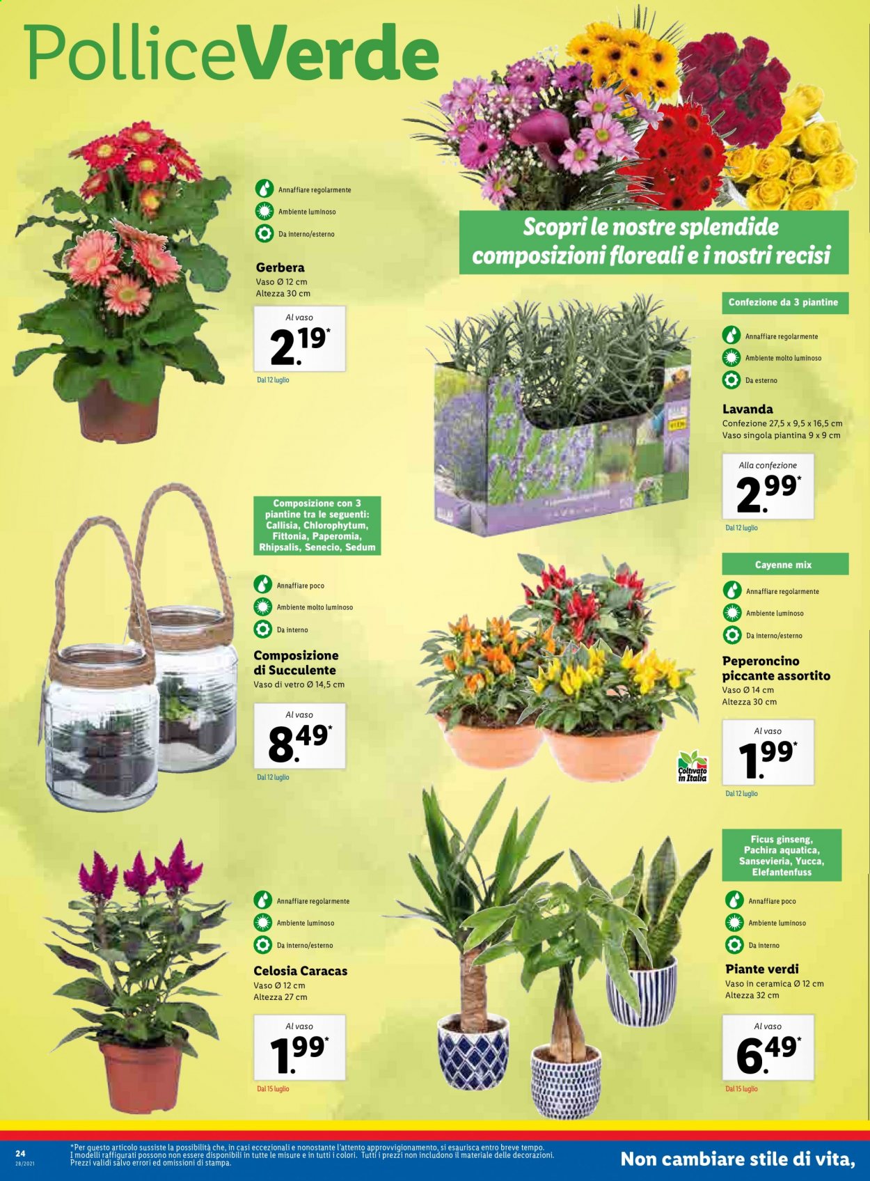 Volantino Lidl - 12/7/2021 - 18/7/2021. Pagina 24