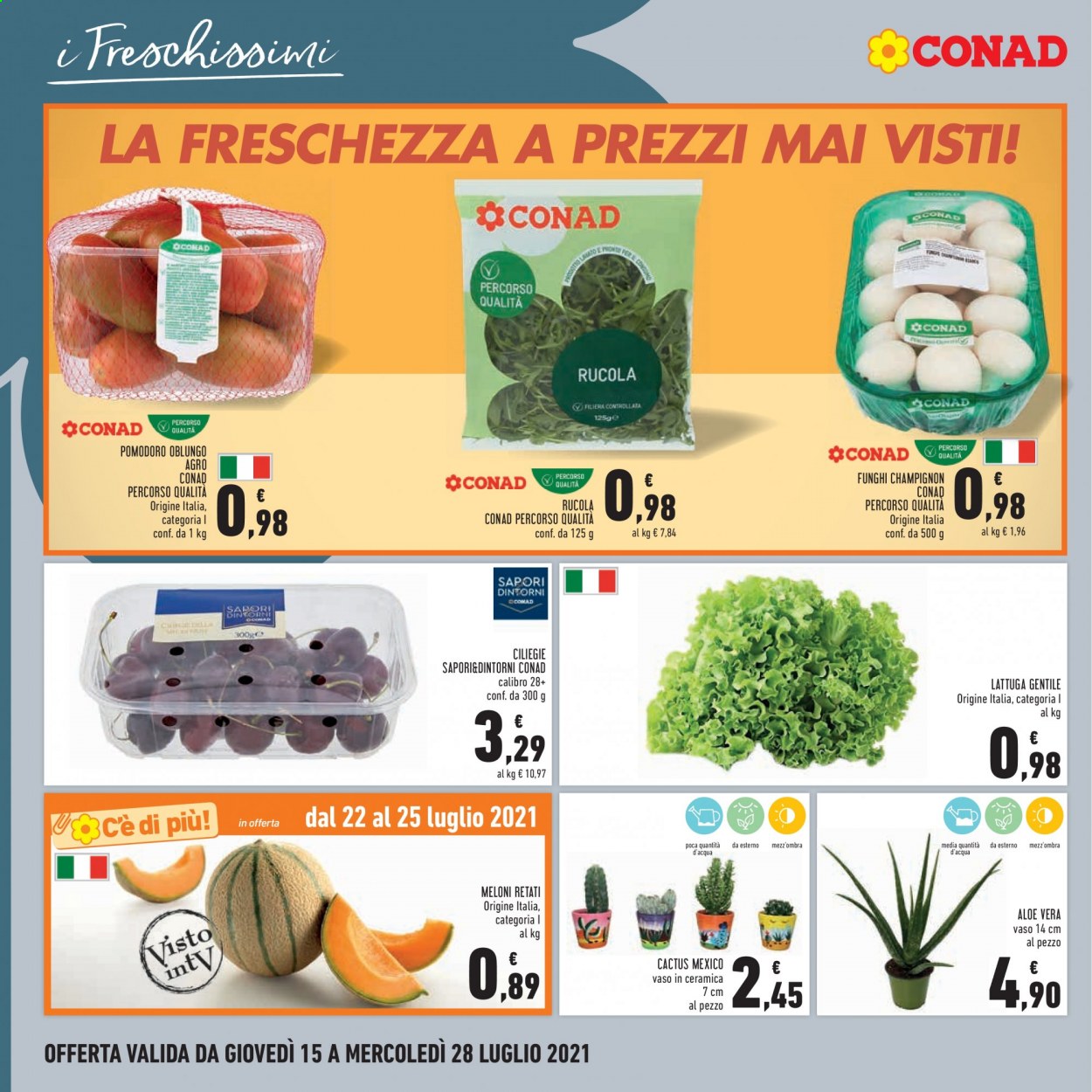 Volantino Conad - 15/7/2021 - 28/7/2021. Pagina 10