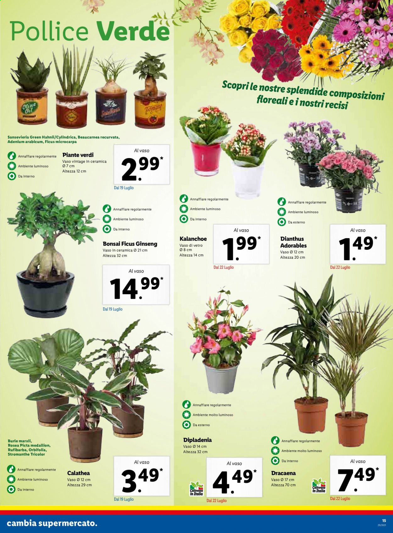 Volantino Lidl - 19/7/2021 - 25/7/2021. Pagina 15