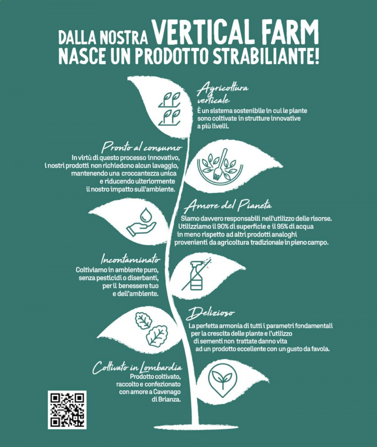 Volantino Iper, La grande i - 19/7/2021 - 1/8/2021. Pagina 7