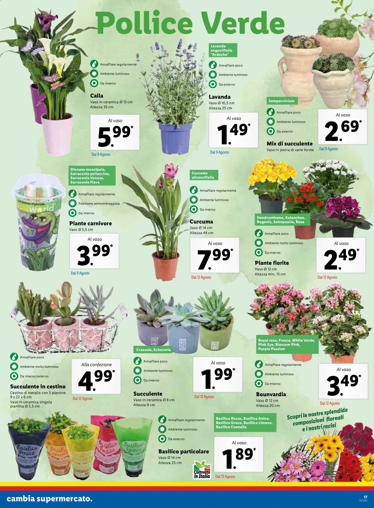 Volantino Lidl - 9/8/2021 - 15/8/2021. Pagina 17