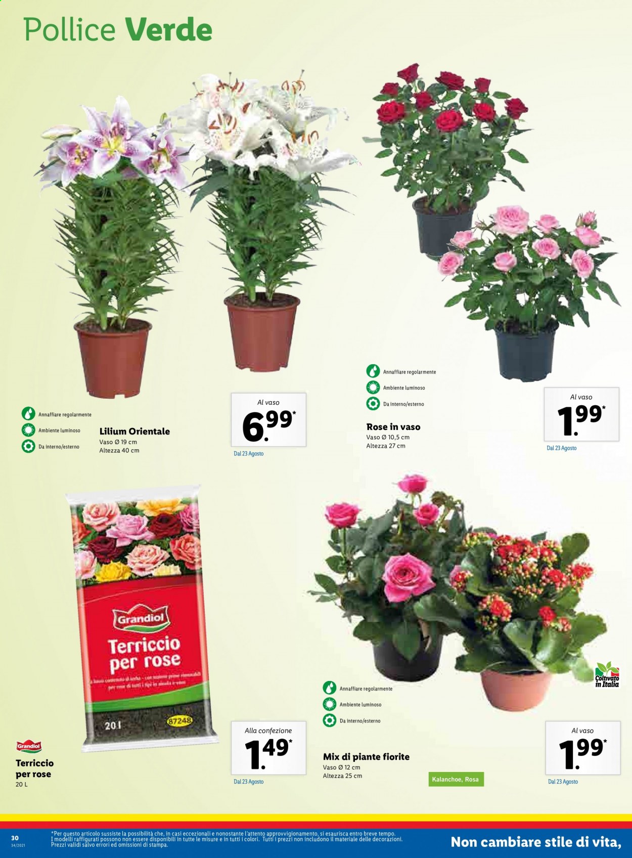 Volantino Lidl - 23/8/2021 - 29/8/2021. Pagina 30